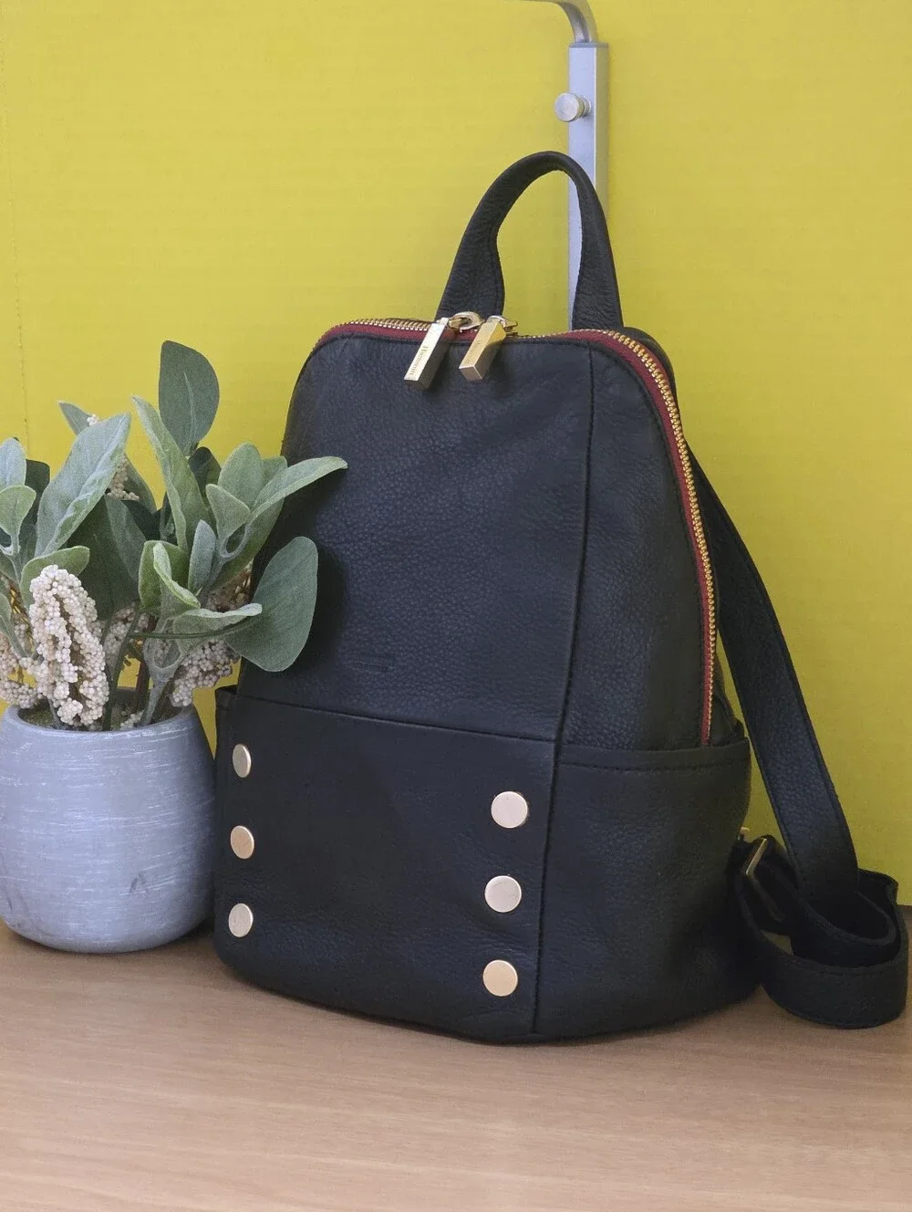 Hammitt Black Leather Medium Backpack with Gold Accents